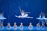 Yuka Ebihara w „Don Kichocie” Alexeia Fadeyecheva, fot. Ewa Krasucka