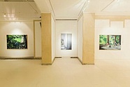 photo: Krzysztof Bieliński