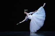 [Translate to English:] „Giselle”, Natalia Pasiut (Mirta), fot. Ewa Krasucka